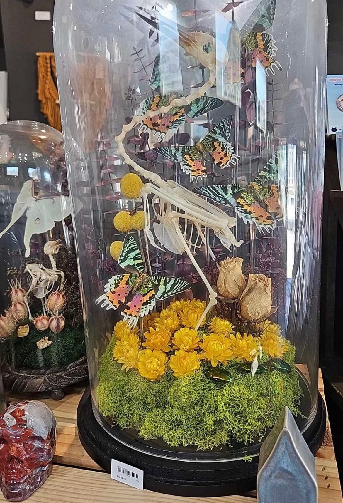 Lyndi terrarium for Dessi