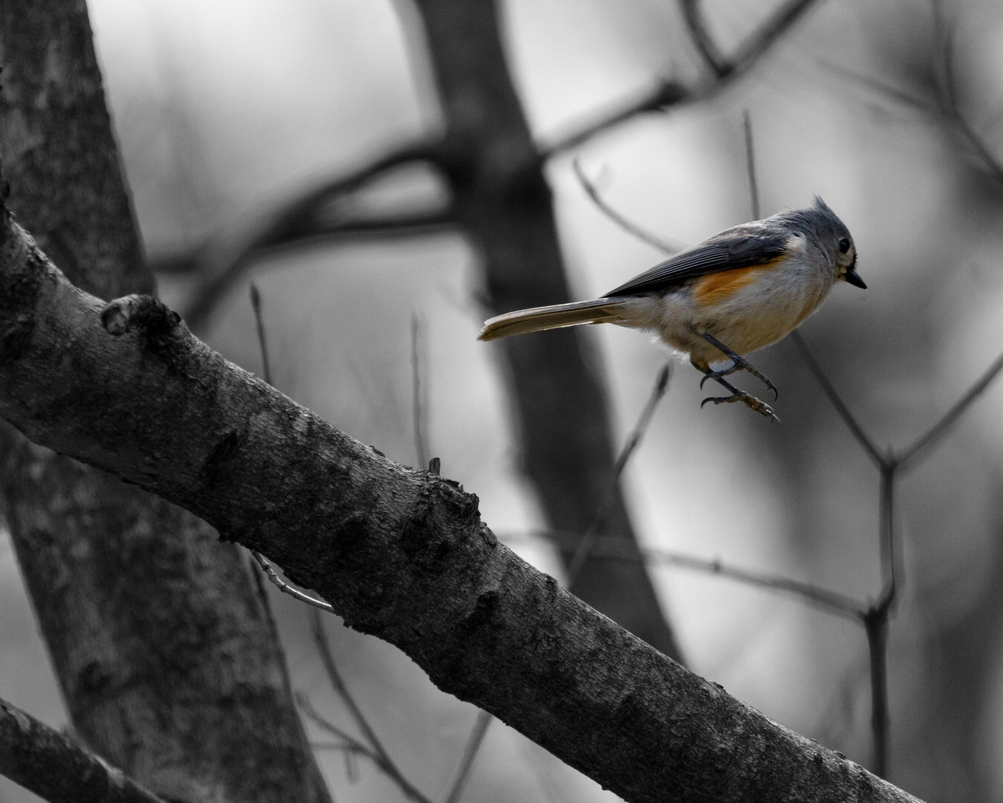 TMBTP: Salena Filichia: The Getaway Photograph