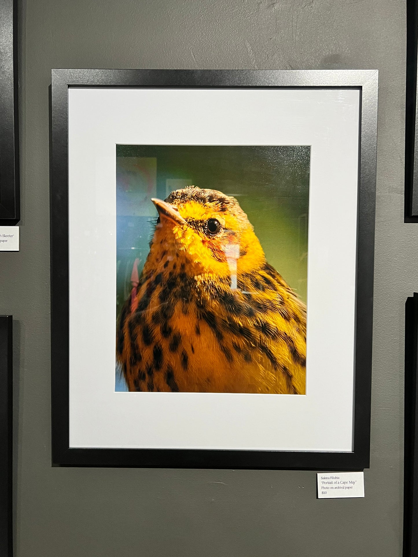 TMBTP: Salena Filichia: Portrait of a Cape May Photograph