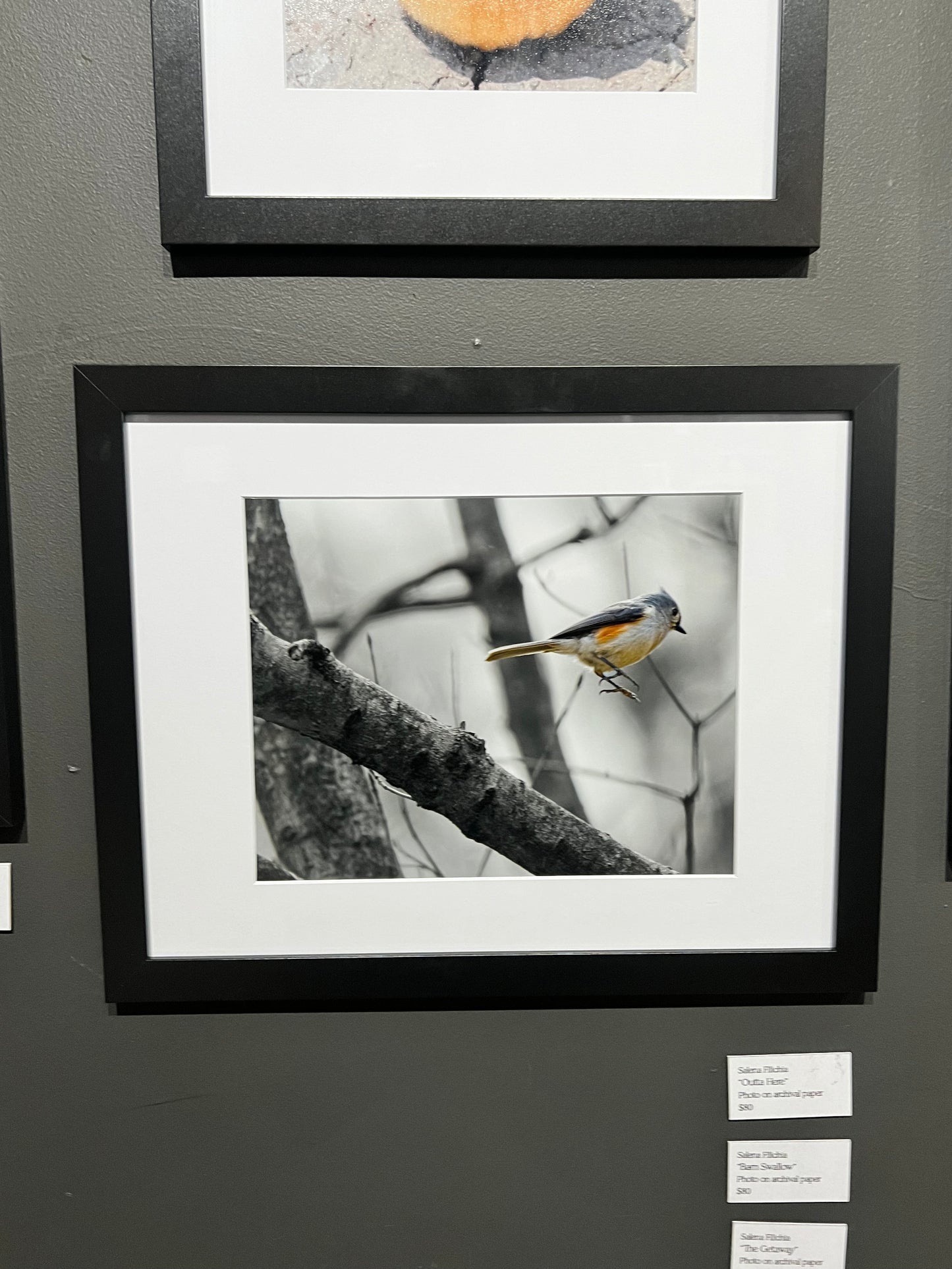 TMBTP: Salena Filichia: The Getaway Photograph