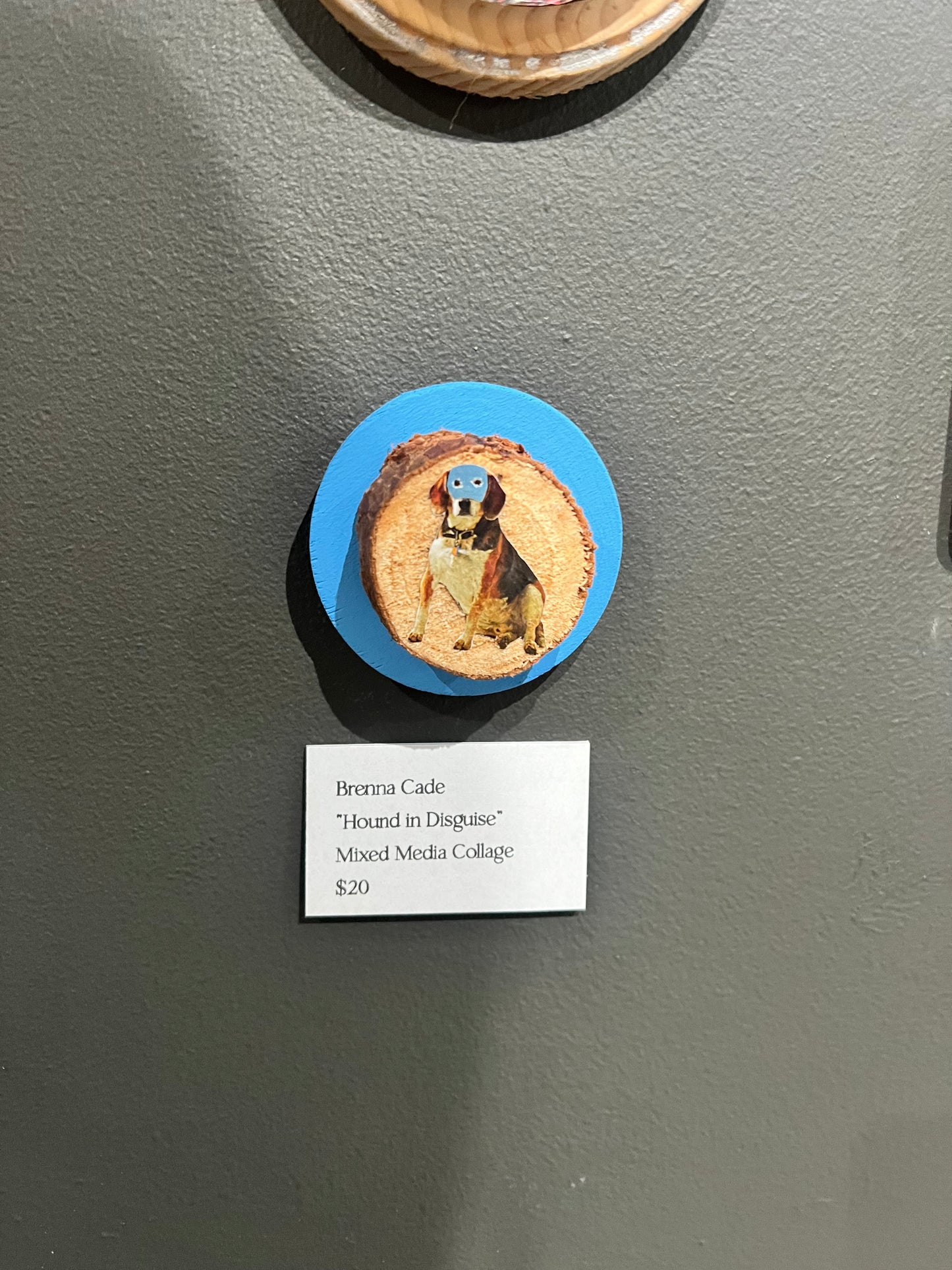 SOTW 23: Brenna Cade: Hound in disguise