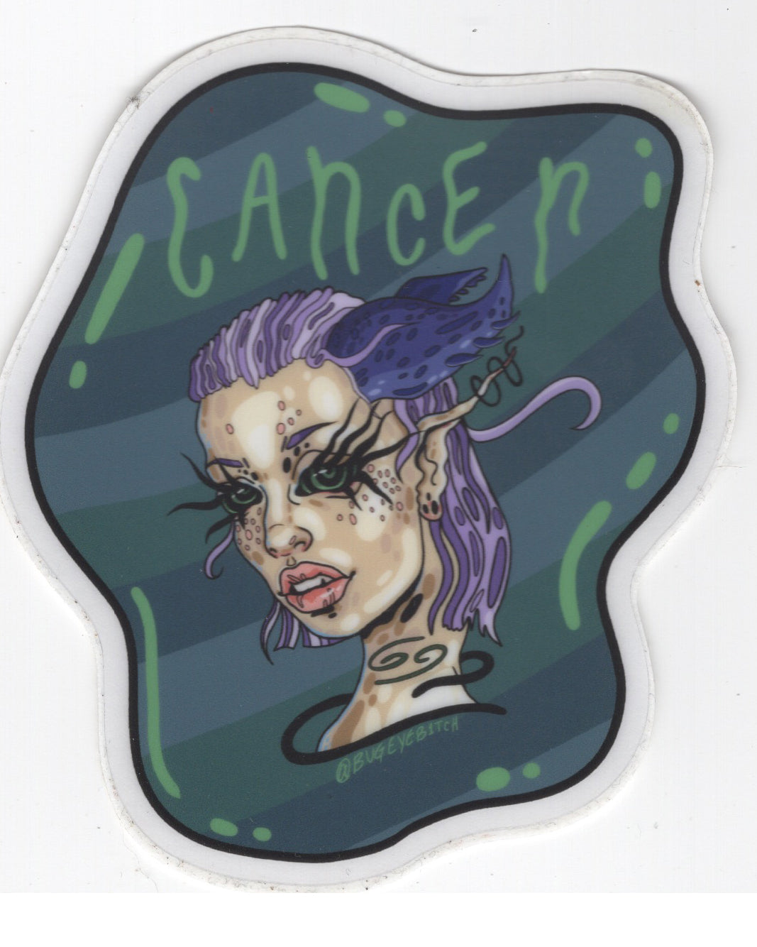 Asher Dempler: Zodiac Stickers