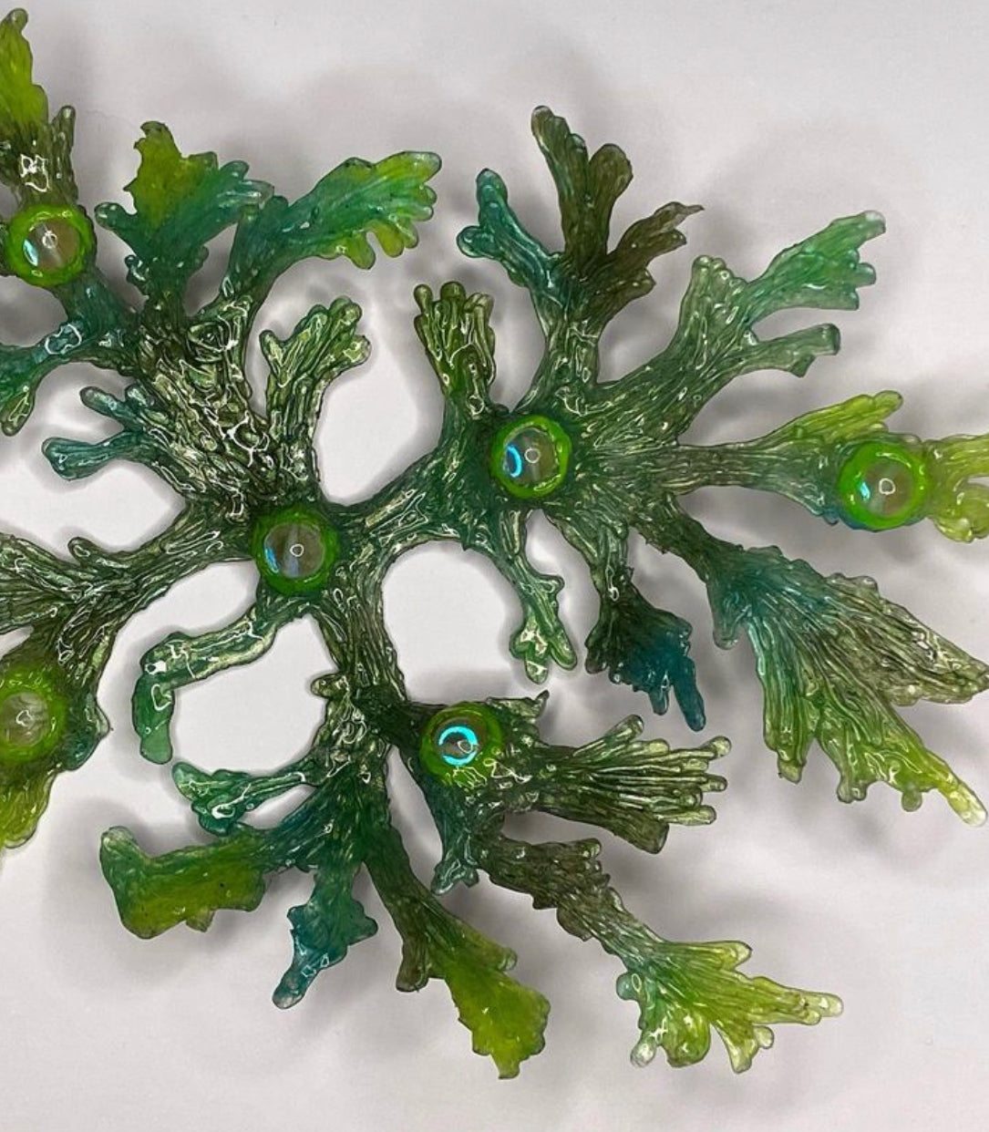 Edwin Ramirez - “Seaweed, Protect Me”