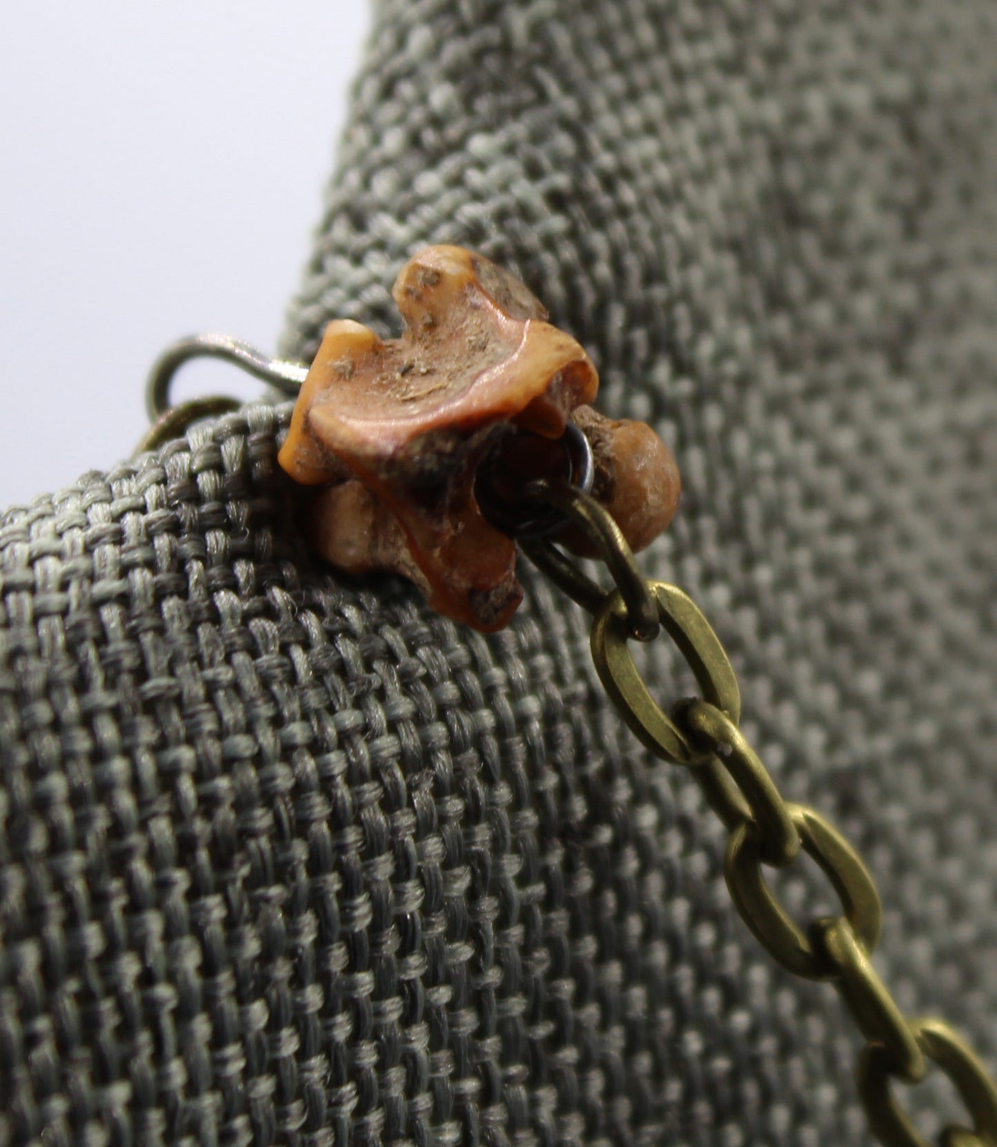 Hekas Creative: Citrine pendant, tigers eye 6mm beads, unbleached snake vertebrae