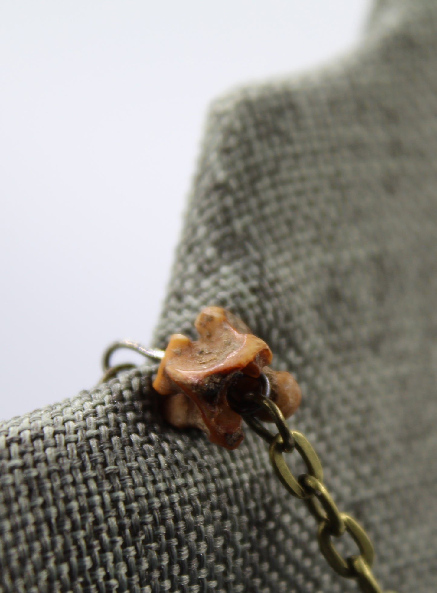 Hekas Creative: Citrine pendant, tigers eye 6mm beads, unbleached snake vertebrae