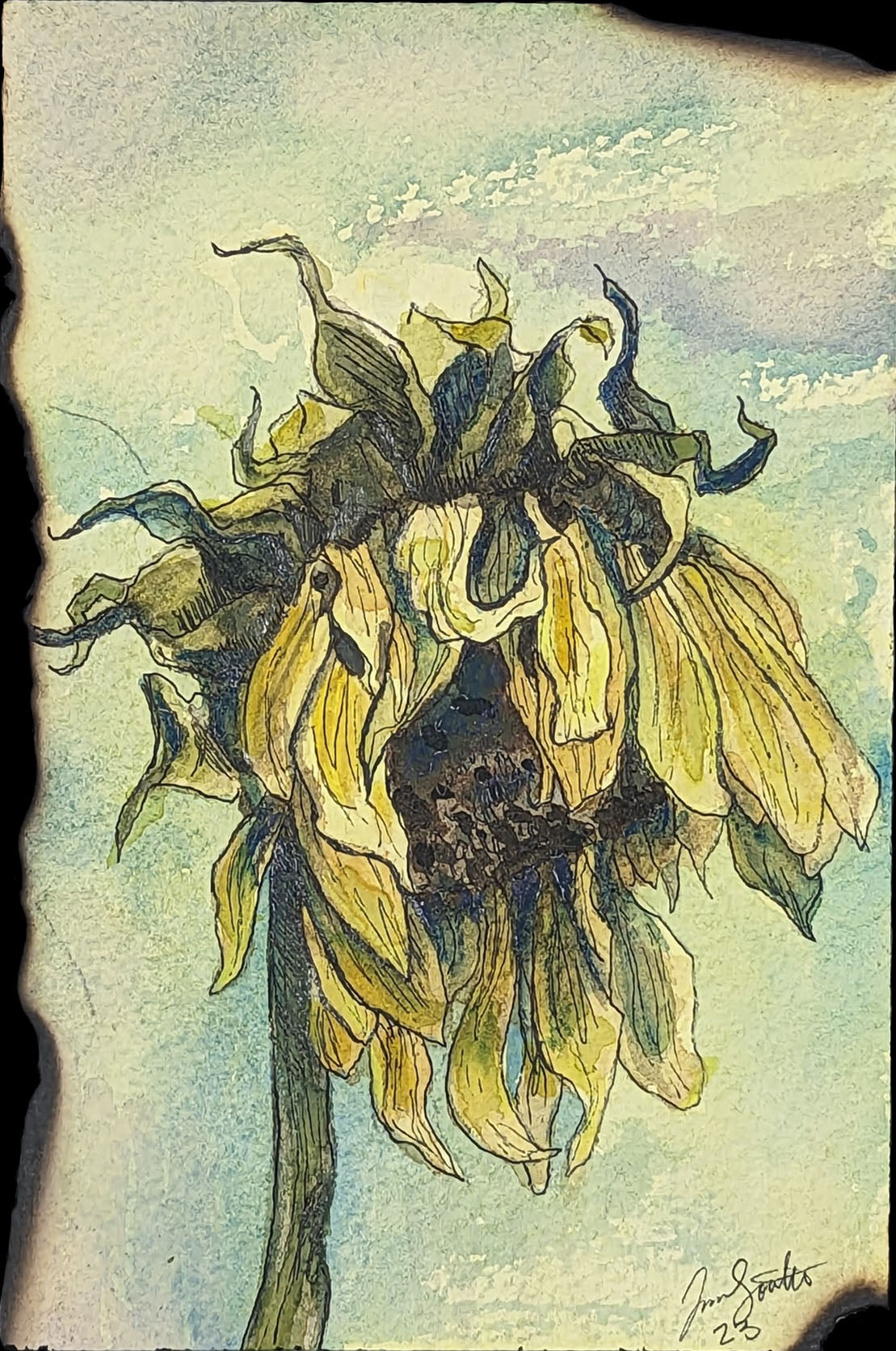 Tension: Jenna Southard: Seasonal Depression Sunflower