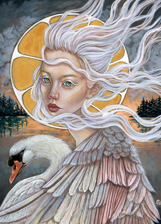 Tammy Wampler: The Swan Maiden 8.5 x 11 print