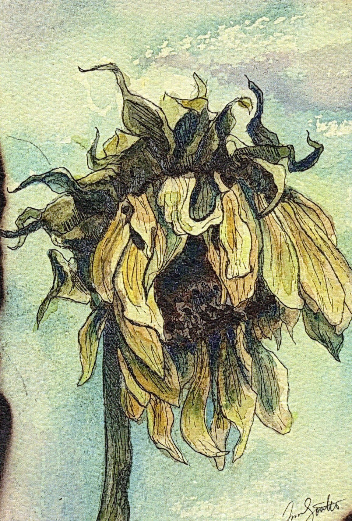 Jenna Southard: Seasonal Depression / Sunflower print