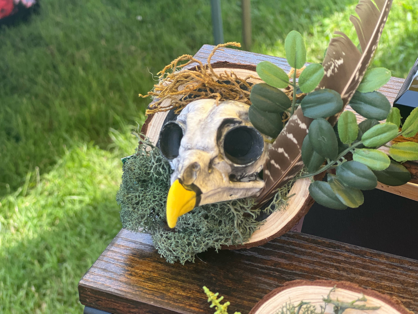 Wild Whimsy: Crafting a Faux Taxidermy Owl with Moss & Florals