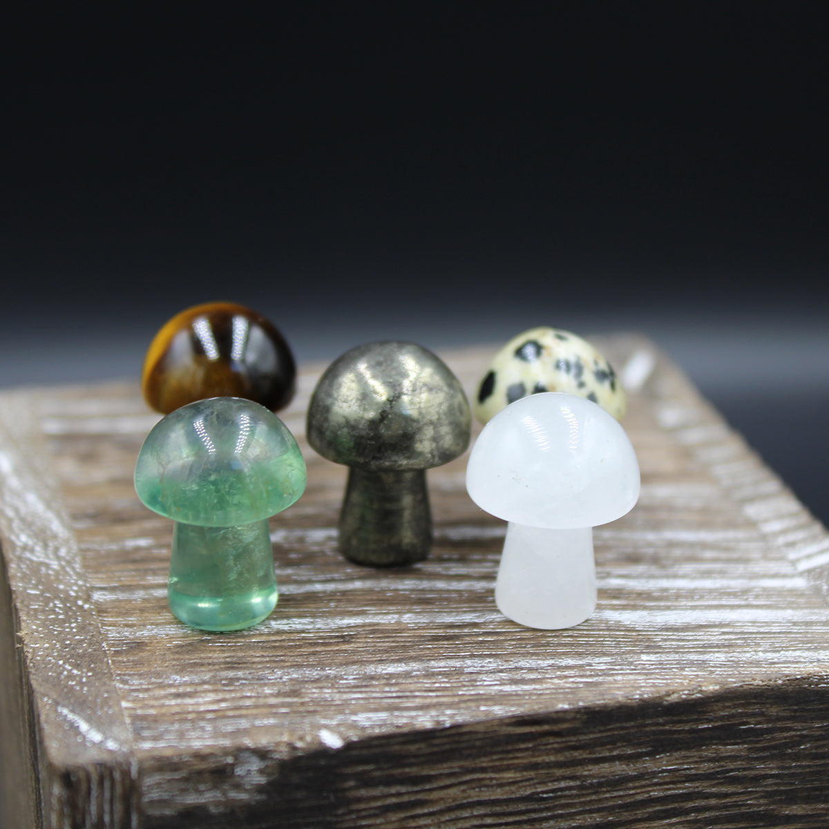 Mini Mushroom Crystals (Assorted)