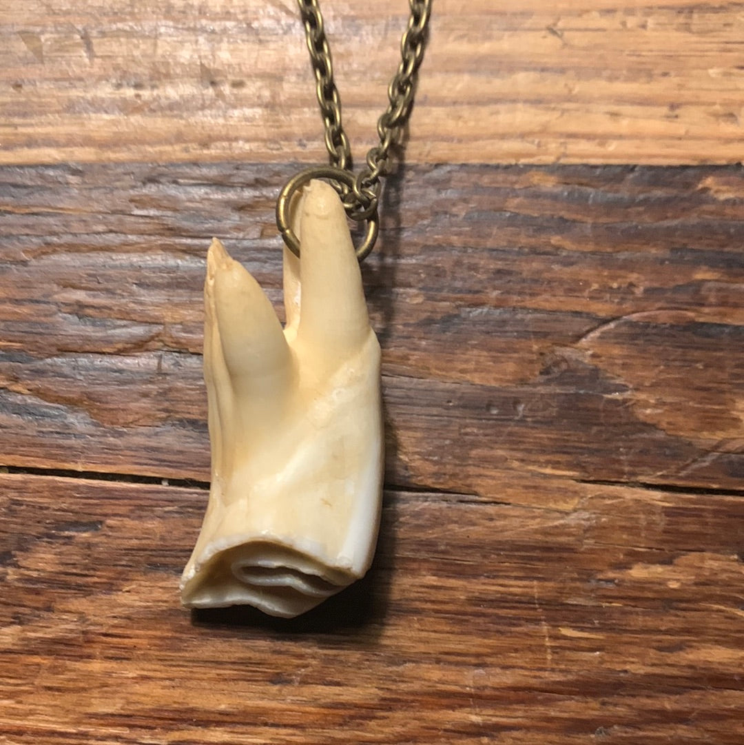 Dandelion - Buffalo tooth necklace